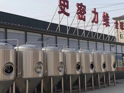 怀化精酿啤酒设备厂—如何判断精酿啤酒设备的密封件需要更换？